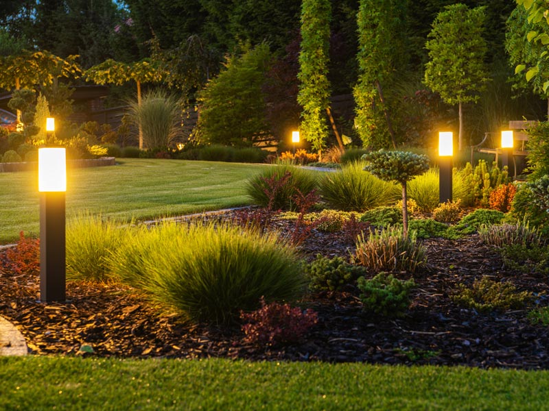residential landscaping with outdoor lighting